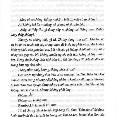 Chiến Binh Zulu