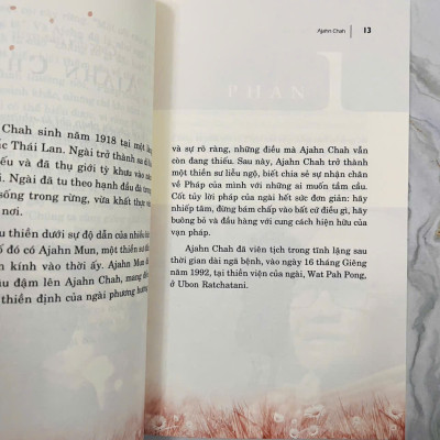 Một Cội Cây Rừng