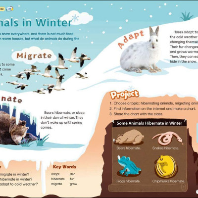 Hand in Hand 4 Student Book