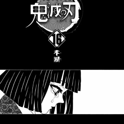 鬼滅の刃 16 - ONI METSU NO HA 16