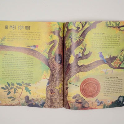 Sách - Vạn vật biến đổi - Bách khoa tri thức cho trẻ từ 6 - 12 tuổi - Đinh Tị Books