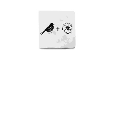 All The Bright Places: Film Tie-In