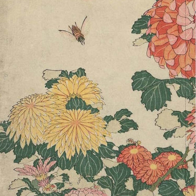 Sourdough - A Complete Guide And Recipe Book