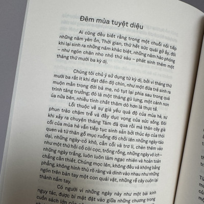 NHỮNG HIỆU QUẾ - Bruno Schulz - Xuân Trường dịch – Xuất Bản Khác