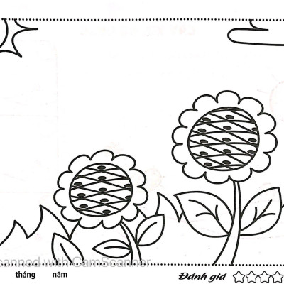 Thực Vật - Tô Màu