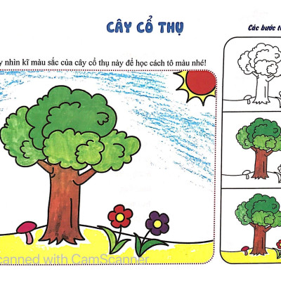 Thực Vật - Tô Màu