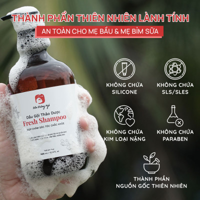 Dầu gội thảo dược Fresh Shampoo giảm rụng tóc, giảm gàu, nuôi dưỡng tóc mềm mượt và chắc khỏe từ gốc 500ml