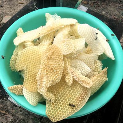 Nến Sáp Ong 65 Giờ Kèm Dĩa Gỗ Dừa 10cm : Khử Mùi Hôi Phòng Kín, Làm Sạch Không Khí, Thơm Nhẹ Mùi Mật Ong - HÀNG CHÍNH HÃNG