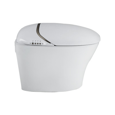 Bồn cầu thông minh cao cấp Bravat C21185W-3CM-VP