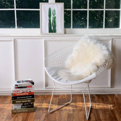 Ghế café Andrea IBIE nhiều tùy chọn