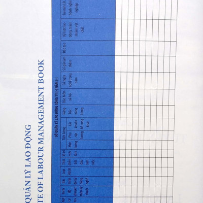 Các Biểu Mẫu Nhân Sự Khó Tìm Liên Quan Đến Pháp Luật Lao Động (Tái Bản 2021)