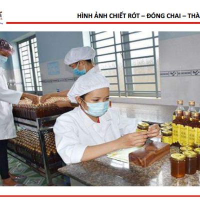 Bộ 2 Mật Ong Thiên Nhiên 5 Sạch Honeyboy 1kg
