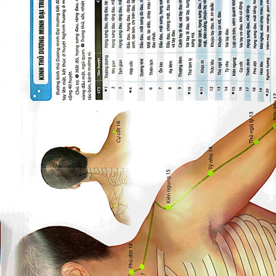 Đồ Giải Kinh Lạc Huyệt Vị - Nam Giới (Tái Bản 2023 )