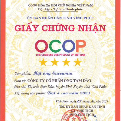 Nghệ Mật ong Curcumin HONECO 500g