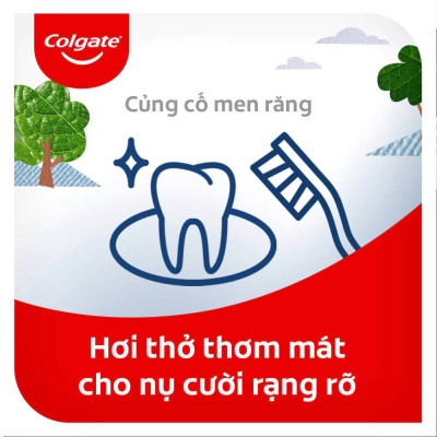 Bộ đôi kem Đánh Răng Colgate Trẻ em thiên nhiên 6-9 tuổi 80G