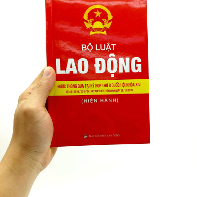 Bộ Luật Lao Động - Được Thông Qua Tại Kỳ Hợp Thứ 8 Quốc Hội Khóa XIV (Bộ Luật Số 45/2019/QH 14 Kỳ Họp Thứ 8 Thông Qua Ngày 20/11/2019)