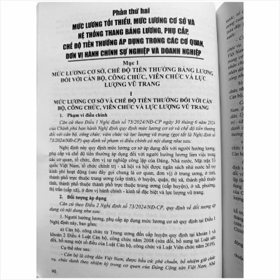 Sách Bộ Luật Lao Động Và Hệ Thống Thang Bảng Lương, Phụ Cấp, Chế Độ Tiền Thưởng Đối Với Người Hưởng Lương Làm Việc Trong Các Cơ Quan, Đơn Vị Và Doanh Nghiệp (V2458T)
