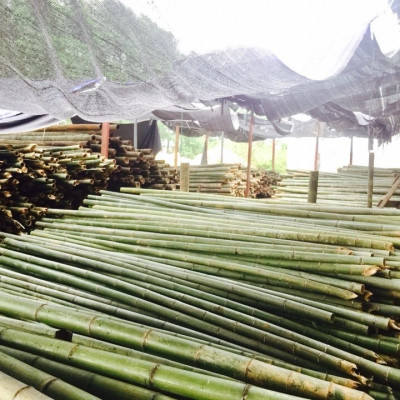 Chiếu tăm H&T 2 x 2,2m(gập đôi ) - Hàng chính hãng H&T - Sản xuất 100% tại Việt Nam