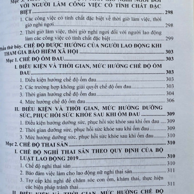 Bộ Luật Lao Động và Hệ Thống Thang Bảng Lương, Phụ Cấp, Chế Độ Tiền Thưởng Đối Với Người Hưởng Lương Làm Việc Trong Các Cơ Quan, Đơn Vị Và Doanh Nghiệp