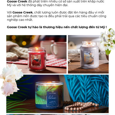 Nến ly 3 bấc sáp đậu nành For Men Goose Creek (411g) - Teakwood