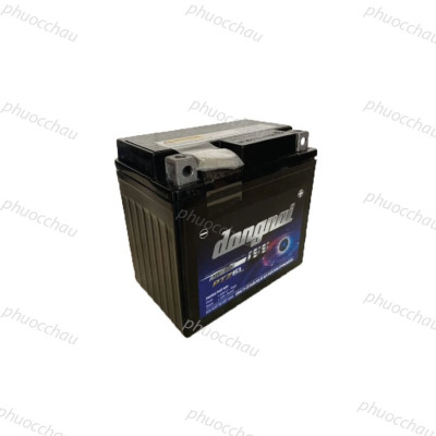 Ắc Quy Đồng Nai PTZ6L 12V-6Ah cho xe máy Vision, AriBlade125, SH Việt, Vario, Winner