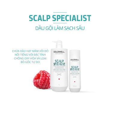 Dầu Gội Kiềm Dầu Goldwell Scalp Specialist Cấp Ẩm Và Làm Sạch Sâu, Kiểm Soát Dầu Thừa Hiệu Quả 250ml