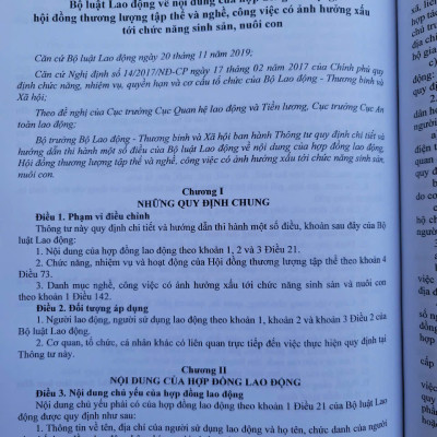Sách Bộ Luật Lao Động – Quy Định Về Quản Lý Lao Động, Tiền Lương Và Tiền Thưởng Đối Với Công Chức, Viên Chức, Người Lao Động (V2532D)