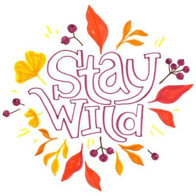 Bộ 24 Bút Lông Màu Nước 2 Đầu - Brush Sign Pen Twin - Pentel Art SESW30C-24E