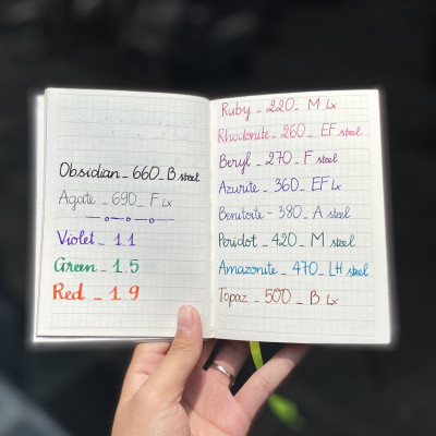 Lamy Notebook A5 Softcover White + Lamy Safari Pink - GSNSa0028