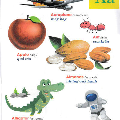 Từ Điển Tiếng Anh Bằng Hình Đầu Tiên Của Bé_HA