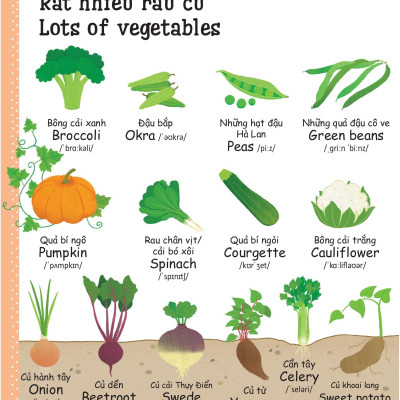 Cuốn Sách Từ Vựng Đầu Tiên Của Tôi - My First Word Book- Thức Ăn - Food