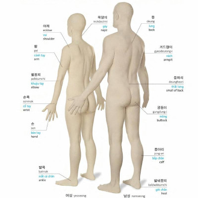 Korean Vietnamese English Trilingual Dictionary