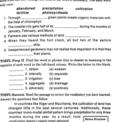 400 Từ Vựng Thiết Yếu Cho Người Thi TOEFL