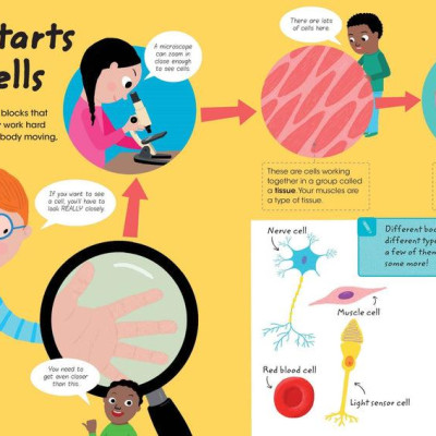 Factivity Vol. 2 - Discover Your Amazing Human Body