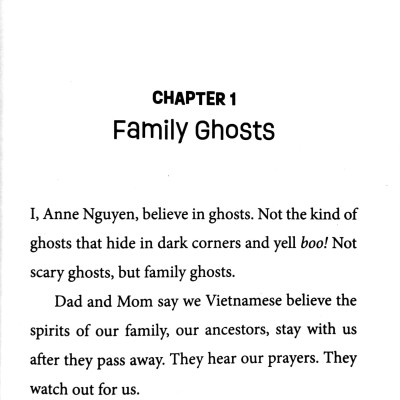 The Nguyen Kids 1: The Secret Of The Jade Bangle