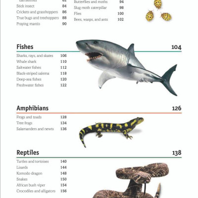 The Animal Book