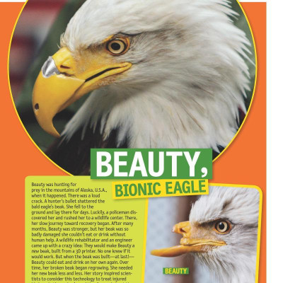 125 Animals That Changed The World