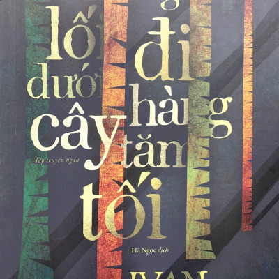 Những Lối Đi Dưới Hàng Cây Tăm Tối