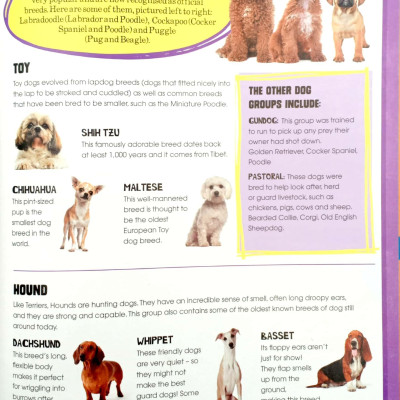 Dogs (Pet Expert)