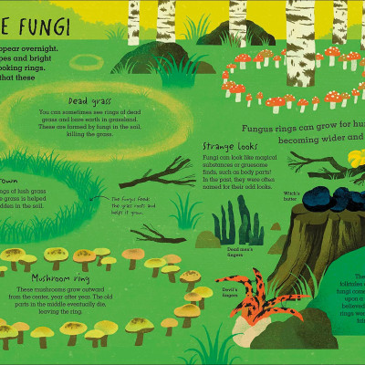 Humongous Fungus