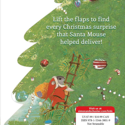 Santa Mouse Christmas Surprise: A Lift-the-Flap Book