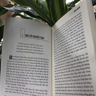 Tiếng gọi của hoang dã