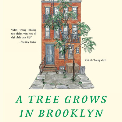 Cây Brooklyn Xanh Biếc