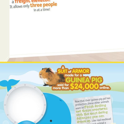 Weird But True! Cool And Crazy Sticker Doodle Book