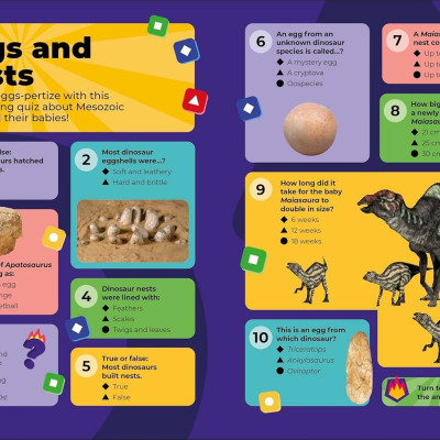 Sách ngoại văn: Kahoot! Quiz Time - Dinosaurs