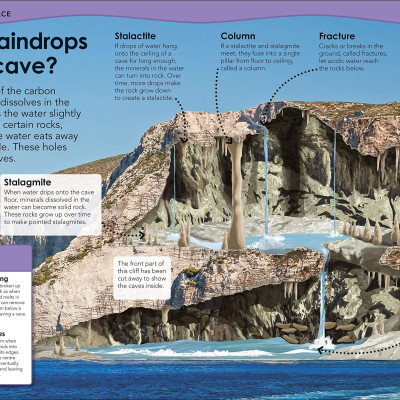 Why Does The Earth Need The Moon?: With 200 Amazing Questions About Our Planet