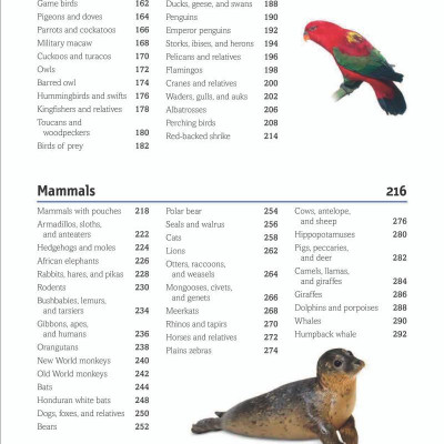 The Animal Book