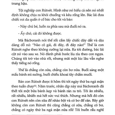 Không Gia Đình