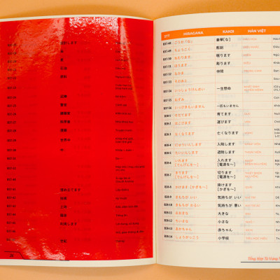HACK NÃO TỪ VỰNG N4 - 3 PHƯƠNG PHÁP HỌC THÔNG MINH (ÂM THANH TƯƠNG TỰ- TỪ GIỐNG NHAU- CHUYỂN ÂM HÁN VIỆT)