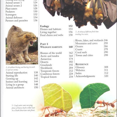 The Kingfisher Nature Encyclopedia